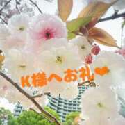 ヒメ日記 2026/04/12 22:14 投稿 小春ひより 成田快楽Ｍ性感倶楽部～前立腺マッサージ専門～