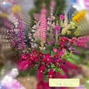 ヒメ日記 2026/03/27 08:31 投稿 水瀬あいな プレジデントハウス