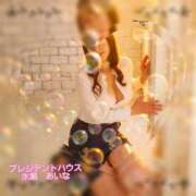 ヒメ日記 2026/04/07 20:31 投稿 水瀬あいな プレジデントハウス