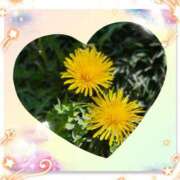 水瀬あいな 本日もありがとうございました🩷 プレジデントハウス