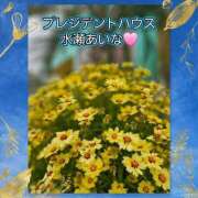 ヒメ日記 2026/06/06 15:02 投稿 水瀬あいな プレジデントハウス