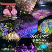 ヒメ日記 2026/06/29 07:01 投稿 水瀬あいな プレジデントハウス