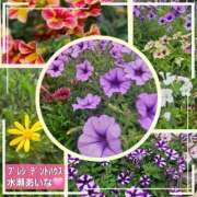 ヒメ日記 2026/07/13 07:02 投稿 水瀬あいな プレジデントハウス