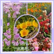 ヒメ日記 2026/08/05 09:30 投稿 水瀬あいな プレジデントハウス