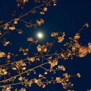 ヒメ日記 2026/04/08 19:50 投稿 佐藤 あすか 渋谷エオス