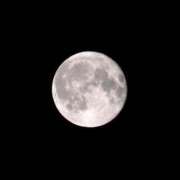 ヒメ日記 2026/04/07 17:15 投稿 海野 とうか 一夜妻　大阪ミナミ店