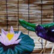 ヒメ日記 2026/08/11 20:18 投稿 さゆり 梅田アバンチュール