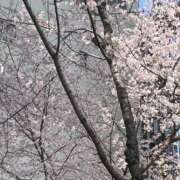 ヒメ日記 2026/03/30 16:15 投稿 おとね 神田ハンドメイド