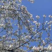 ヒメ日記 2026/04/03 17:01 投稿 おとね 神田ハンドメイド