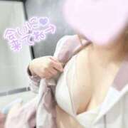 ヒメ日記 2026/04/03 14:32 投稿 いろ The White