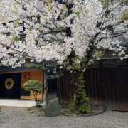 ヒメ日記 2026/04/13 01:07 投稿 木村さとみ 大阪ぽっちゃり妻 谷九店