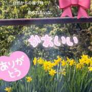 ヒメ日記 2026/05/08 23:55 投稿 木村さとみ 大阪ぽっちゃり妻 谷九店