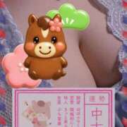 ヒメ日記 2026/05/17 13:43 投稿 木村さとみ 大阪ぽっちゃり妻 谷九店