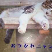 木村さとみ 日曜日のお礼日記(∩´∀`∩)💕 大阪ぽっちゃり妻 谷九店