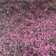 ヒメ日記 2026/03/27 23:20 投稿 本条かえで ウルトラプラチナム