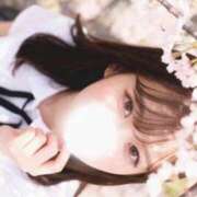 ヒメ日記 2026/03/29 10:51 投稿 本条かえで ウルトラプラチナム