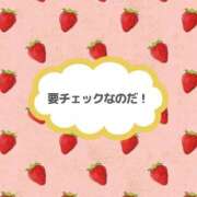 ヒメ日記 2026/04/27 22:59 投稿 いおり 秋葉原コスプレ学園in西川口