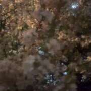 ヒメ日記 2026/03/29 16:54 投稿 かな 制服天国（ユメオト）