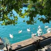 葉月(はづき) Tさん ✍🏻  ̖́- グランドオペラ横浜