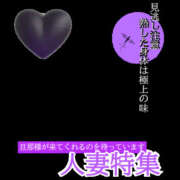 ヒメ日記 2026/04/28 10:29 投稿 るみ 千葉中央人妻援護会