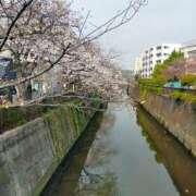 ヒメ日記 2026/03/31 12:31 投稿 ひでみ 熟女の風俗最終章 蒲田店