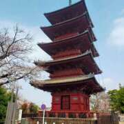 ヒメ日記 2026/04/07 13:00 投稿 ひでみ 熟女の風俗最終章 蒲田店