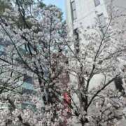 ヒメ日記 2026/03/29 15:50 投稿 神田みか 渋谷エオス