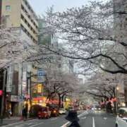 ヒメ日記 2026/04/15 12:15 投稿 さきな マドンナ浜松町