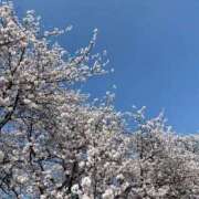 ヒメ日記 2026/04/13 10:07 投稿 梓沙【新人】 Minx（ミンクス）