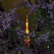 ヒメ日記 2026/04/07 21:19 投稿 れん オズ 千葉栄町店