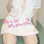ヒメ日記 2026/04/08 16:16 投稿 ゆい 上大岡しこたまクリニック