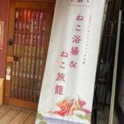 ヒメ日記 2026/08/04 15:28 投稿 恵音（けいと） PLUS十三店