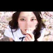 ヒメ日記 2026/03/29 00:16 投稿 りんか CUTE