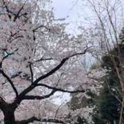 ヒメ日記 2026/04/01 09:31 投稿 りんか CUTE