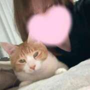 ヒメ日記 2026/03/31 20:14 投稿 ヒマリ 人妻生レンタル