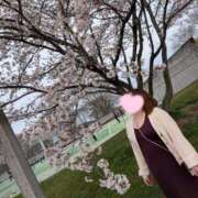 ヒメ日記 2026/04/06 10:40 投稿 ヒマリ 人妻生レンタル