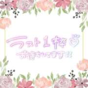 ヒメ日記 2026/04/08 10:40 投稿 ヒマリ 人妻生レンタル