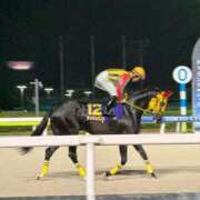 ヒメ日記 2026/04/16 07:29 投稿 あおな 五反田サンキュー