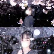 ヒメ日記 2026/03/29 18:32 投稿 ゆめ ホワイトベル