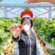 ヒメ日記 2026/04/10 22:42 投稿 ゆめ ホワイトベル