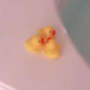 ヒメ日記 2026/04/08 10:01 投稿 ゆきね姫 I know すい～つ 生クリームpie