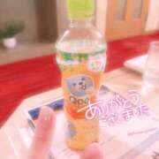 ヒメ日記 2026/04/09 07:03 投稿 ゆきね姫 I know すい～つ 生クリームpie