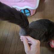 ヒメ日記 2026/04/04 12:47 投稿 宮尾(みやお) 人妻出逢い会 百合の園 山の手本店