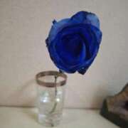 宮尾(みやお) 執着ではなく、愛着を 人妻出逢い会 百合の園 山の手本店