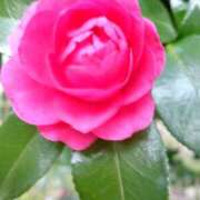 ヒメ日記 2026/03/20 19:13 投稿 ようこ 熟女ばかり