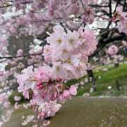 ヒメ日記 2026/03/27 19:26 投稿 ひより あとりえ(ATELIER)