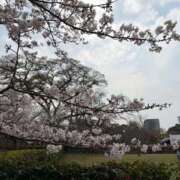 ヒメ日記 2026/03/29 21:51 投稿 かれん Venti大阪