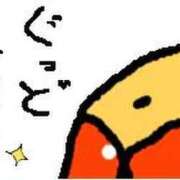 ヒメ日記 2026/03/21 02:46 投稿 はな Lolipop（ロリポップ）