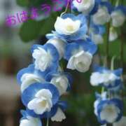 菊池奏子(きくちかなこ) おはようございます 五十路マダムエクスプレス厚木店(カサブランカグループ)