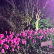 ヒメ日記 2026/04/07 22:13 投稿 みさき 横浜しこたまクリニック